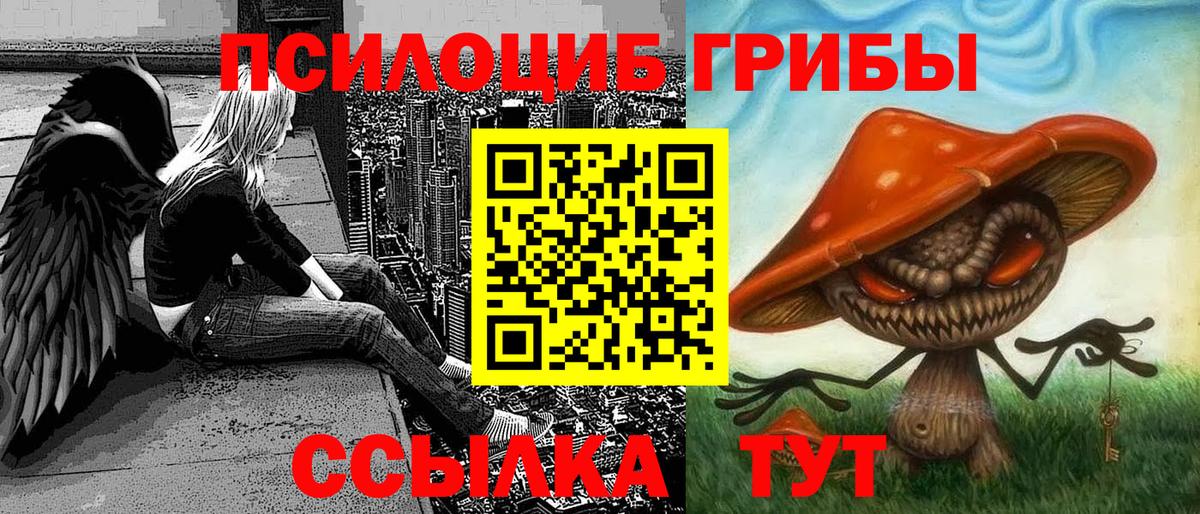 Псилоцибиновые грибы прущие грибы Минусинск